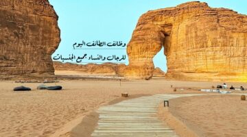 وظائف الطائف