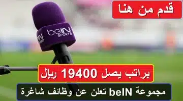 226492 copy