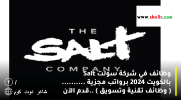 وظائف في شركة سولت Salt بالكويت 2024 برواتب مجزية . وظائف تقنية وتسويق .قدم الآن