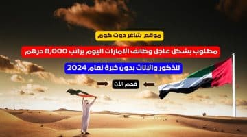 مطـلوب بشـكل عـاجل وظائف الامارات اليوم براتب 8000 درهم للذكور والإناث بدون خبرة لعام 2024