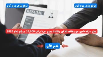 تعلن شركة تأمين عن وظائف للذكور والإناث بدون خبرة براتب 14000 درهم لعام 2024