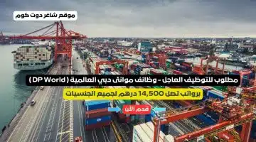 مطلوب للتوظيف العاجل وظائف موانئ دبي العالمية DP World برواتب تصل 14500 درهم لجميع الجنسيات