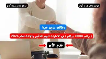 وظائف بدون خبرة