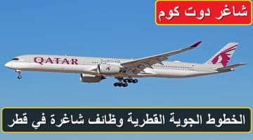 Qatar Airways Airbus A350 1000 copy