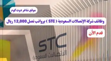 وظائف شركة الإتصالات السعودية STC برواتب تصل 12000 ريال سعودي في مدينة الرياض اليوم لعام 1446 هــ