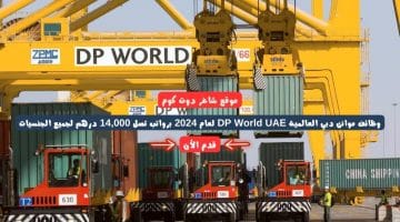 وظائف موانئ دبي العالمية DP World UAE لعام 2024 برواتب تصل 14000 درهم لجميع الجنسيات