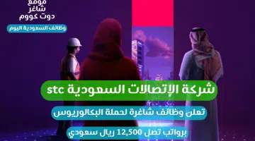شركة الإتصالات السعودية stc تعلن وظائف شاغرة لحملة البكالوريوس برواتب تصل 12500 ريال سعودي