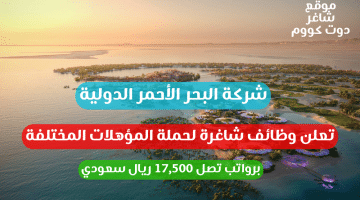 شركة البحر الأحمر الدولية تعلن وظائف شاغرة لحملة المؤهلات المختلفة برواتب تصل 17500 ريال سعودي