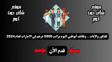 للذكور والإناث . وظائف أبوظبي اليوم براتب 5000 درهم في الامارات لعام 2024