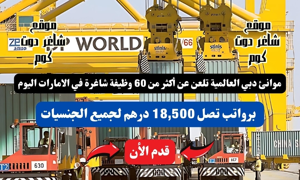 موانئ دبي العالمية تلعن عن أكثر من 60 وظيفة شاغرة في الامارات اليوم برواتب تصل 18,500 درهم لجميع الجنسيات 1 موانئ دبي العالمية تلعن عن أكثر من 60 وظيفة شاغرة في الامارات اليوم برواتب تصل 18,500 درهم لجميع الجنسيات