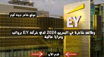 وظائف شاغرة في البحرين 2024 لدي شركة EY برواتب ومزايا عالية