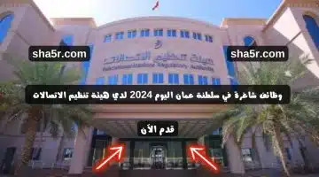 وظائف شاغرة في سلطنة عمان اليوم 2024 لدي هيئة تنظيم الاتصالات لمختلف التخصصات