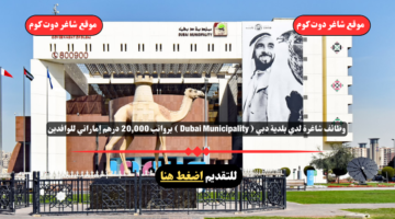 وظائف شاغرة لدي بلدية دبي Dubai Municipality برواتب 20000 درهم إماراتي للوافدين