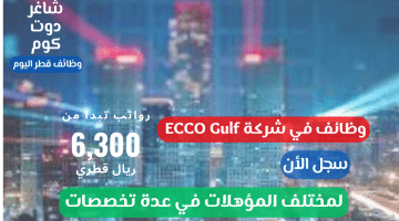 وظائف في شركة ECCO Gulf لمختلف المؤهلات في عدة تخصصات برواتب تبدا بـ 6300 ريال قطري