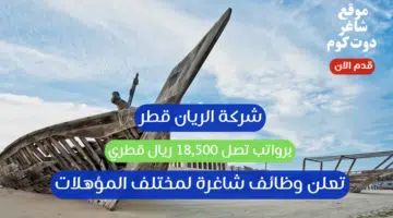 شركة الريان قطر تعلن وظائف شاغرة لمختلف المؤهلات برواتب تصل 18500 ريال قطري