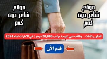 للذكور والإناث . وظائف دبي اليوم براتب 20000 درهم في الامارات لعام 2024