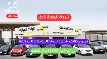شركة الواحة قطر تعلن وظائف شاغرة لحملة المؤهلات المختلفة برواتب تصل 11000 ريال قطري