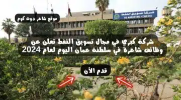 شركة كبري في مجال تسويق النفط تعلن عن وظائف شاغرة في سلطنة عمان اليوم لعام 2024