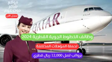 وظائف الخطوط الجوية القطرية 2024 لحملة المؤهلات المختلفة برواتب تصل 12000 ريال قطري