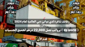 وظائف شاغرة لدي موانئ دبي العالمية لعام 2024