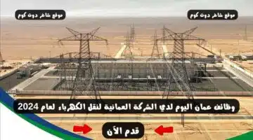 وظائف عمان اليوم لدي الشركة العمانية لنقل الكهرباء لعام 2024