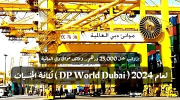 برواتب تصل 23000 درهم . وظائف موانئ دبي العالمية لعام 2024 DP World Dubai لكافة الجنسيات