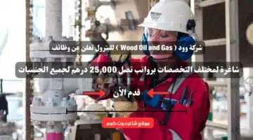 شركة وود Wood Oil and Gas للبترول تعلن عن وظائف شاغرة لمختلف التخصصات برواتب تصل 25000 درهم لجميع الجنسيات
