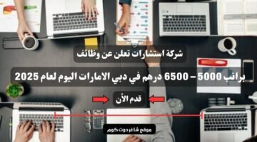 شركة استشارات تعلن عن وظائف مدخل بيانات براتب 5000 – 6500 درهم في دبي الامارات اليوم لعام 2025 1