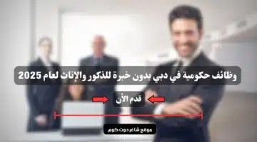 وظائف حكومية في دبي بدون خبرة للذكور والإناث لعام 2025