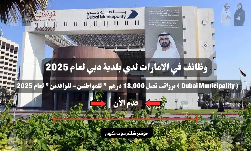 وظائف في الامارات لدي بلدية دبي لعام 2025 ( Dubai Municipality ) برواتب تصل 18,000 درهم ” للمواطنين – للوافدين ” لعام 2025 1 وظائف في الامارات لدي بلدية دبي لعام 2025 ( Dubai Municipality ) برواتب تصل 18,000 درهم ” للمواطنين – للوافدين ” لعام 2025