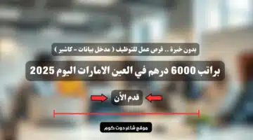 بدون خبرة . فرص عمل للتوظيف مدخل بيانات كاشير براتب 6000 درهم في العين الامارات اليوم 2025 سجل الأن
