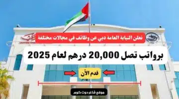 تعلن النيابة العامة دبي عن وظائف في مجالات مختلفة برواتب تصل 20000 درهم لعام 2025 سجل الأن