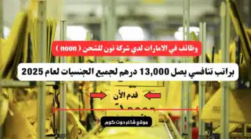 وظائف في الامارات لدي شركة نون للشحن noon براتب تنافسي يصل 13000 درهم لجميع الجنسيات لعام 2025 سجل الأن 1