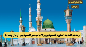 مركز الرسوم والفنون 2