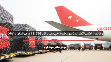 وظائف ارامكس الامارات بدون خبرة في دبي براتب 12،000 درهم للذكور والإناث