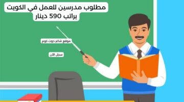 مطلوب مدرسين للعمل في الكويت براتب 590 دينار