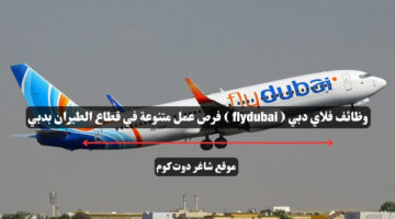 وظائف فلاي دبي flydubai فرص عمل متنوعة في قطاع الطيران بدبي