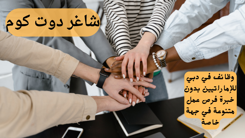 وظائف في دبي للإماراتيين بدون خبرة فرص عمل متنوعة في جهة خاصة 1 وظائف في دبي للإماراتيين بدون خبرة فرص عمل متنوعة في جهة خاصة
