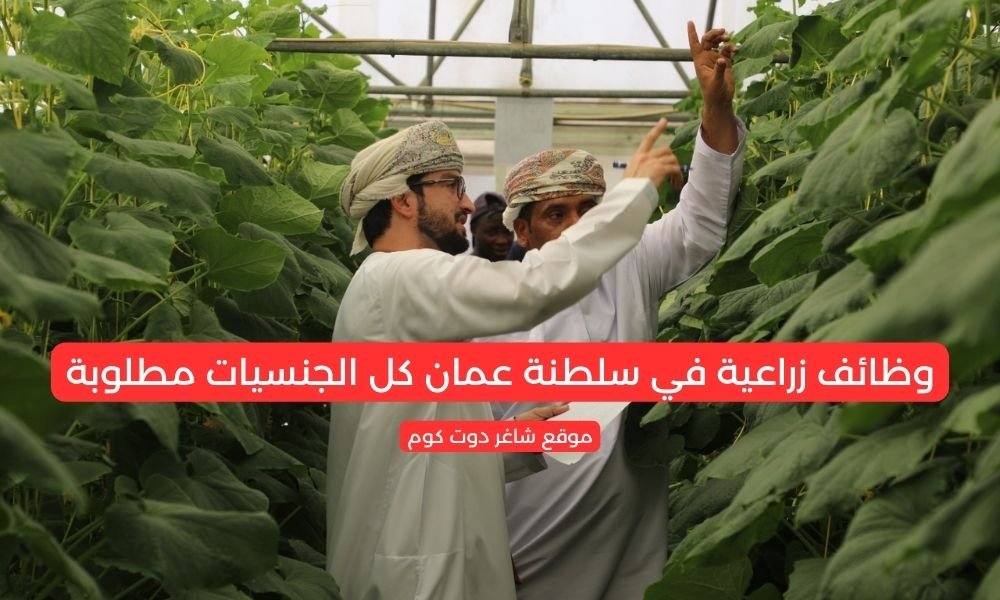 وظائف زراعية في سلطنة عمان كل الجنسيات مطلوبة 1 وظائف زراعية في سلطنة عمان كل الجنسيات مطلوبة