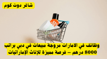 وظائف في الامارات مروجة مبيعات في دبي براتب 8000 درهم – فرصة مميزة للإناث الإماراتيات 1
