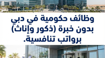 0441e7b8 d5fc 11f0 bd9a 3ee2031badf2 0 2