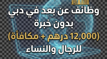 3bfd55c2 d21c 11f0 bc67 2ed36dddde57 0