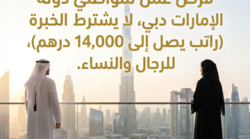 8bafefd6 d748 11f0 823f 560e80ee4e39 0