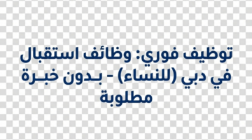 d1561f62 d09d 11f0 8efa 1a4d96a907dd 0