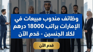 d8a5d8dc d743 11f0 89e0 aaaa4fdade3e 0