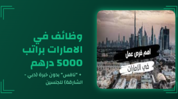 eltiqni design 1766533087418