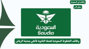 مركز الرسوم والفنون 2 2