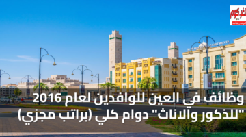 featured image 1769547399713