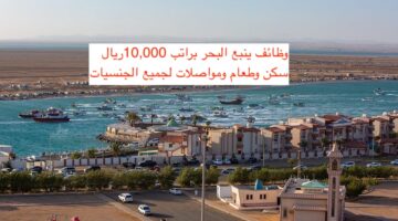 وظائف ينبع البحر