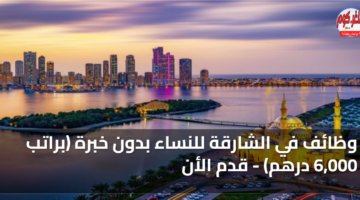 featured image 1778580498055